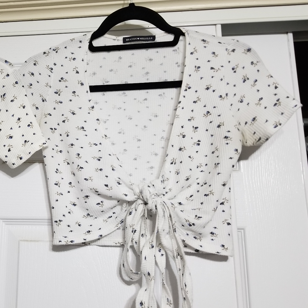 Brandy melville rae top